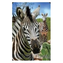 Mini 3D zebra kortelė