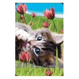 Mini 3d cat card