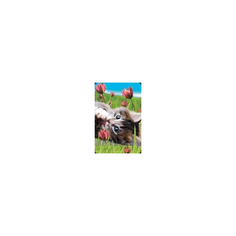 Mini 3d cat card