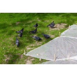 Agrotekstilė, šalčio danga, žieminė danga, 50g, balta, 3,2x5m