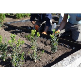 Inkaras stella bord apvadui, ilgis 250mm, 50 vnt.