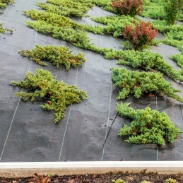 ☘️tvirtas nuo piktžolių agrotekstilės kilimėlis 1,6x10m 70g☘️