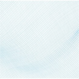 Bestway 58277 baseino valymo tinklelis