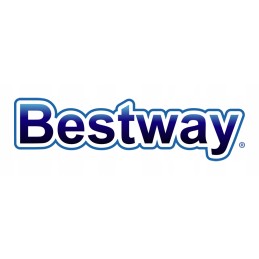 Bestway 58210 baseino cheminių medžiagų dozatoriaus plūdė