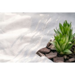 Balta žieminė agrotekstilė augalams dengti, sodo danga, 50g 1,6x10m