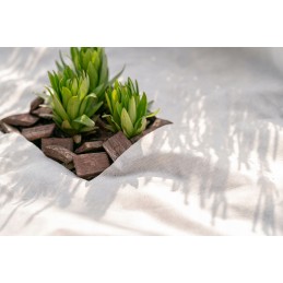 Balta žieminė agrotekstilė augalams dengti, sodo danga, 50g 1,6x10m