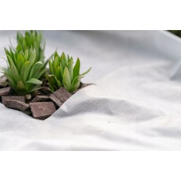 Balta žieminė agrotekstilė augalams dengti, sodo danga, 50g 1,6x10m