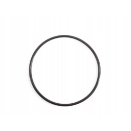 SPA elektrolizatoriaus tarpiklis 28454 28456 11853 intex