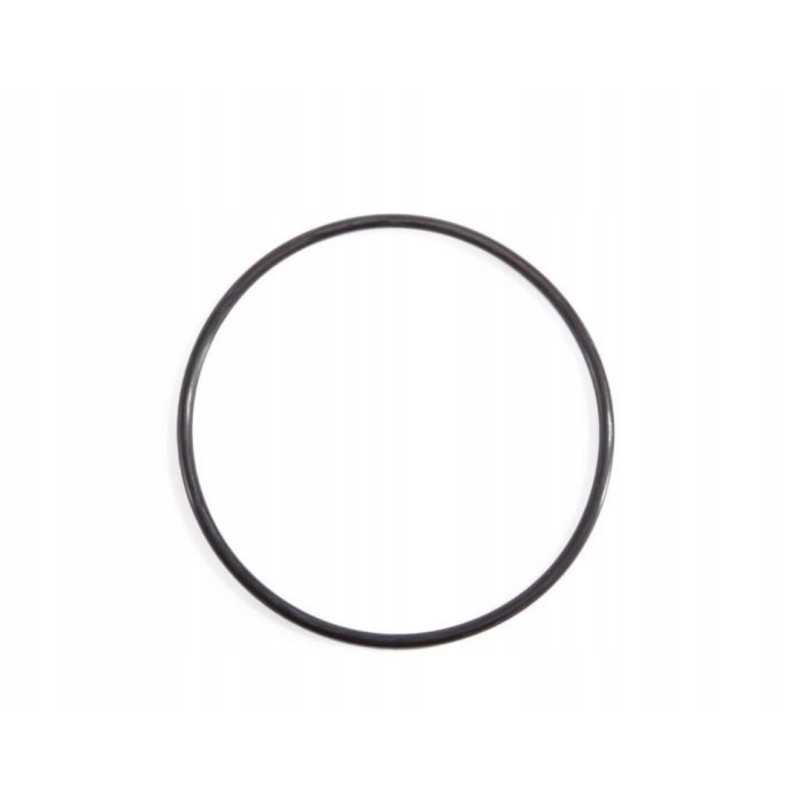 SPA elektrolizatoriaus tarpiklis 28454 28456 11853 intex