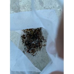 Tvertne Bestway 58212 baseina putekļsūcējam