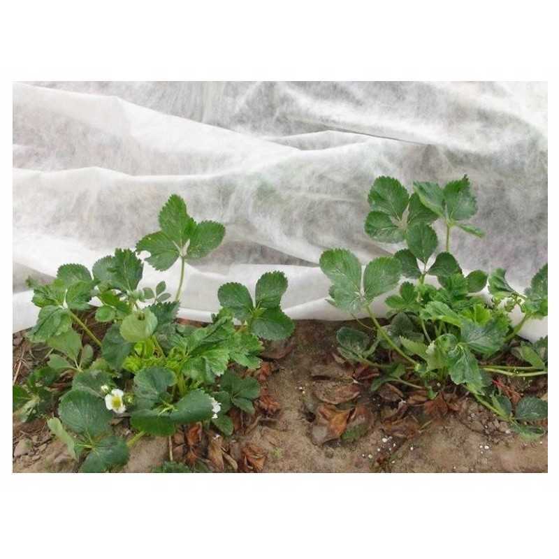 Agrotekstilė agrotekstilė tarppamušalas wigofil kilimėlis 1,5x5 m 15g baltas