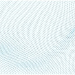 Bestway 58277 baseino valymo tinklelis