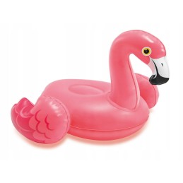 Pripučiamas vonios žaislas, kelių intex 5 dizainų