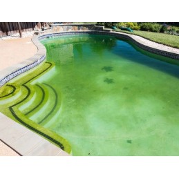 4spa dumbliai iš 1 l baseino cheminių medžiagų dumbliams gamix baseino sūkurinėje vonioje