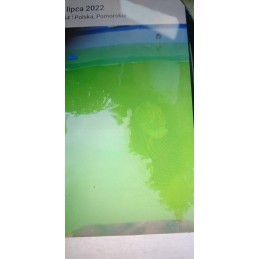 Alga off antidumbliai baseinams 1l gamix baseino chemikalai dumbliams baseine