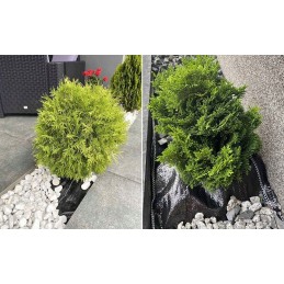 Agrotekstilė nuo piktžolių 70g pakuotėje 3,2x5m