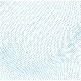 Bestway 58277 baseino valymo tinklelis