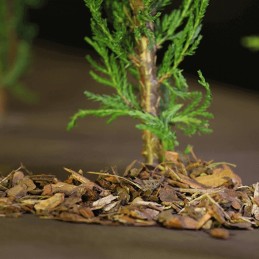 agrimpex dual-agro agrotekstilė 1,6 mx 5 m 50 g/m2 mini ritinėlis