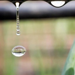 agrimpex dual-agro agrotekstilė 1,6 mx 5 m 50 g/m2 mini ritinėlis