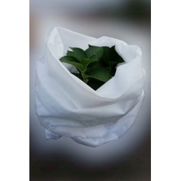 Balta pavasarinė ir žieminė agrotekstilė augalų apsaugai, plotis 1,6 m x 10 m ilgis