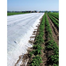 Spyruoklinė agrotekstilė, balta, 3,2 x 10 m