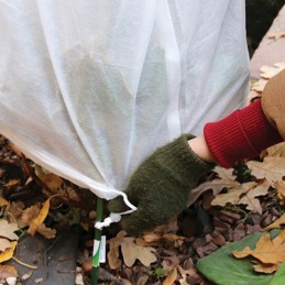 Greenmill klasikinė agrotekstilė balta 1,6x10m 50g/m2 žieminė gr1013