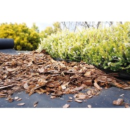 Juoda agrostop agrotekstilė|50g| nuo piktžolių|mulčias| 1,6x10m