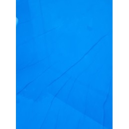 Bakas, skirtas bestway 58515 baseino dulkių siurbliui