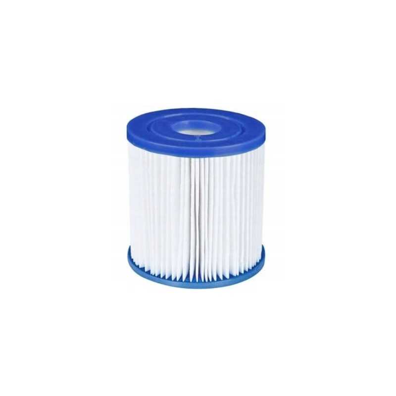 Avenli filtro įdėklas I tipo baseino siurbliui 80-90mm