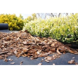 Agrostop agrotekstilė - Lenko Marma | patalynė neaustinė medžiaga | 3,2mx 5m