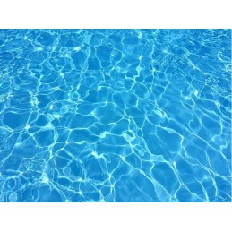 Stipri priemonė nuo dumblių baseinams, 1l dumbliai