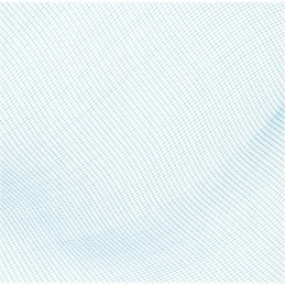 Bestway 58277 baseino valymo tinklelis