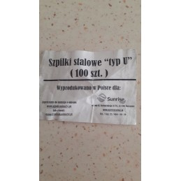 Metaliniai kaiščiai 100 vnt