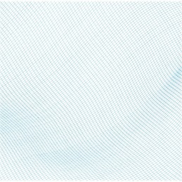 Bestway 58277 baseino valymo tinklelis