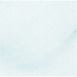 Bestway baseino valymo tinklelis nešvarumams pašalinti