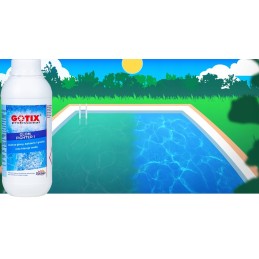 Antidumbliai, stipri priemonė nuo dumblių baseine, sūkurinėje vonioje, SPA, dumblius naikinantys chemikalai, 1l