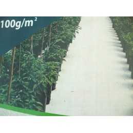 Storo audinio agrotekstilė