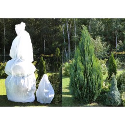 Žiemos apsauginis gaubtas augalams 50g/m² 50x80 cm