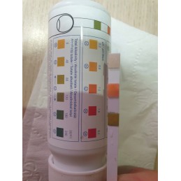 Vandens testeris pH šarmingumo chloras 58142 bestway