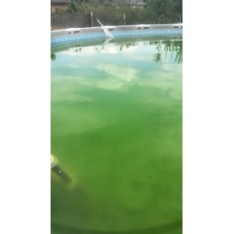 Gamix chloro šokas baseinui, granulės, baseino chemikalai, 1 kg
