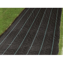 Tvirtas nuo piktžolių agrotekstilės audinys 2x5m