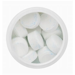 2 viename didelis dozatorius su termometro plūduru baseino sūkurinei voniai chloro 20g