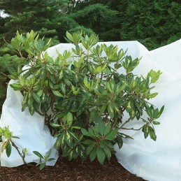 Agrotekstilinė žieminė augalų apsauga 1,6x10m agrim