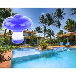 Chloro dozatoriaus plūduras baseino chemikalams 20g