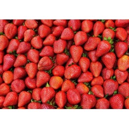 Vitaminas C l askorbo rūgštis 500g targroch fit