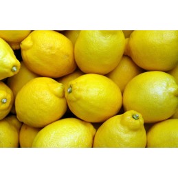Vitaminas C l askorbo rūgštis 500g targroch fit