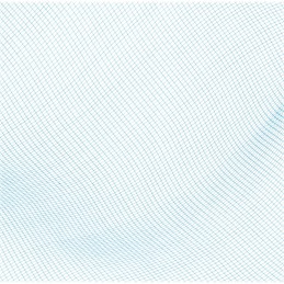 Bestway 58277 baseino valymo tinklas, skirtas nešvarumams pašalinti