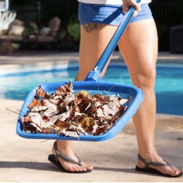 Tinklelis, valytuvas, skirtas baseino valymo atliekoms šalinti, 1301