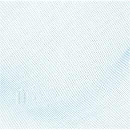 Bestway 58277 baseino valymo tinklelis