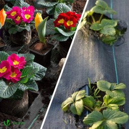 Nuo piktžolių agrotekstilė agrotekstilė juoda UV kilimėlis 3% 1,6x10m 70g/m2